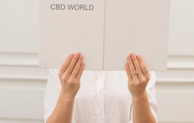 A Beginners Guide to CBD Flower: Benefits, Uses, and Side Effects