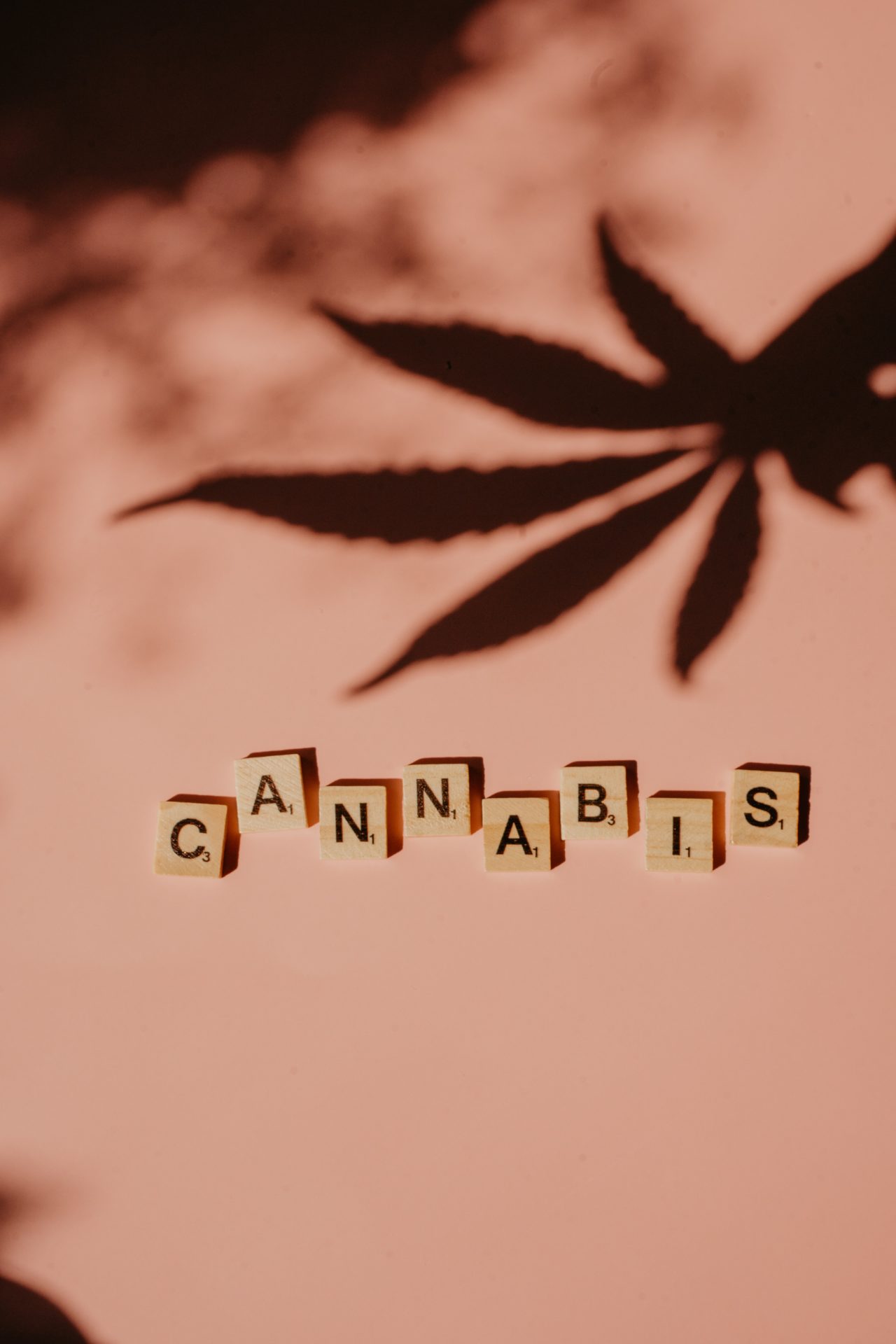 Is Cannabis a Potent Treatment for Anxiety Disorders?