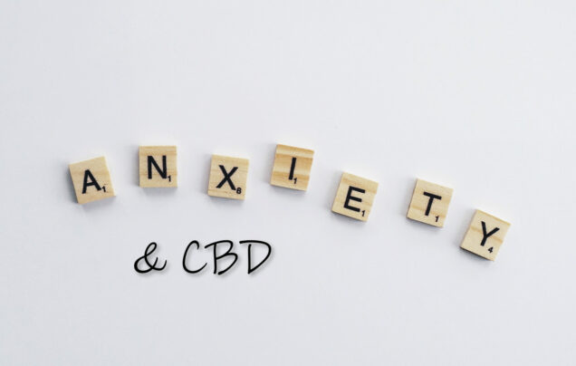 Everything You Need To Know About Using CBD For Anxiety