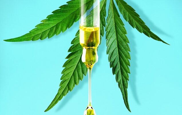 What Dosage of CBD Should You Take?