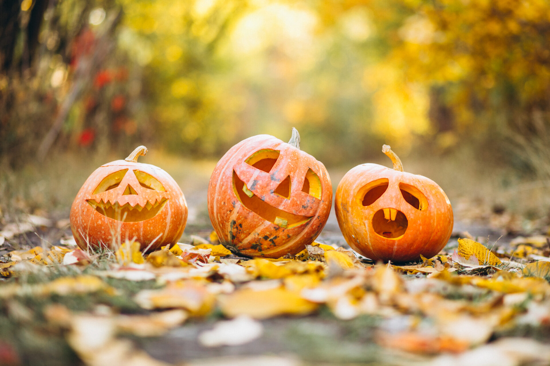 Trick or Treat: The CBD facts (or myths) explained.